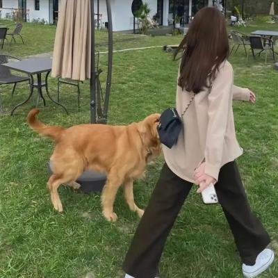本色